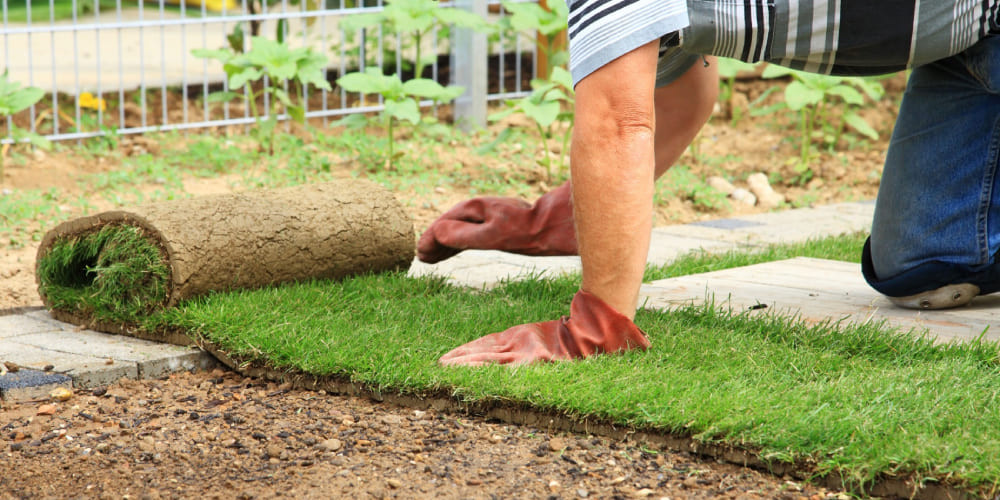 Укладка газона